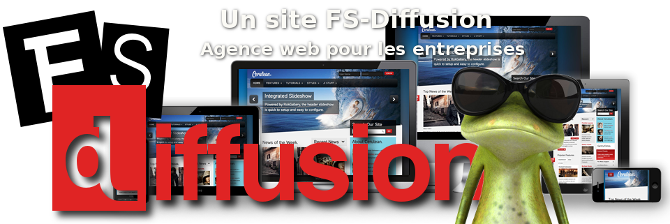 création de site internet évolutif, FS-Diffusion